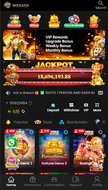 Wgs456 Game APK Download